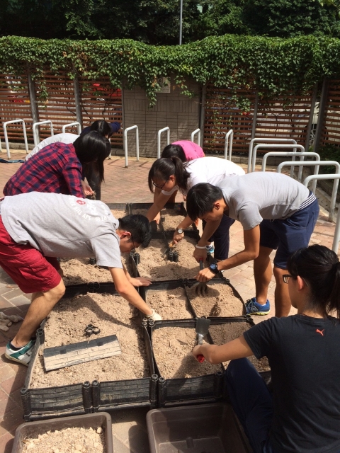 Students have to prepare their plots before sowing seeds.