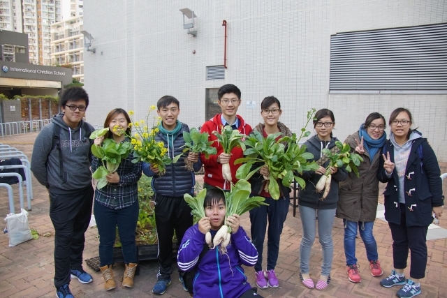 Students were happy to reap their initial harvests.