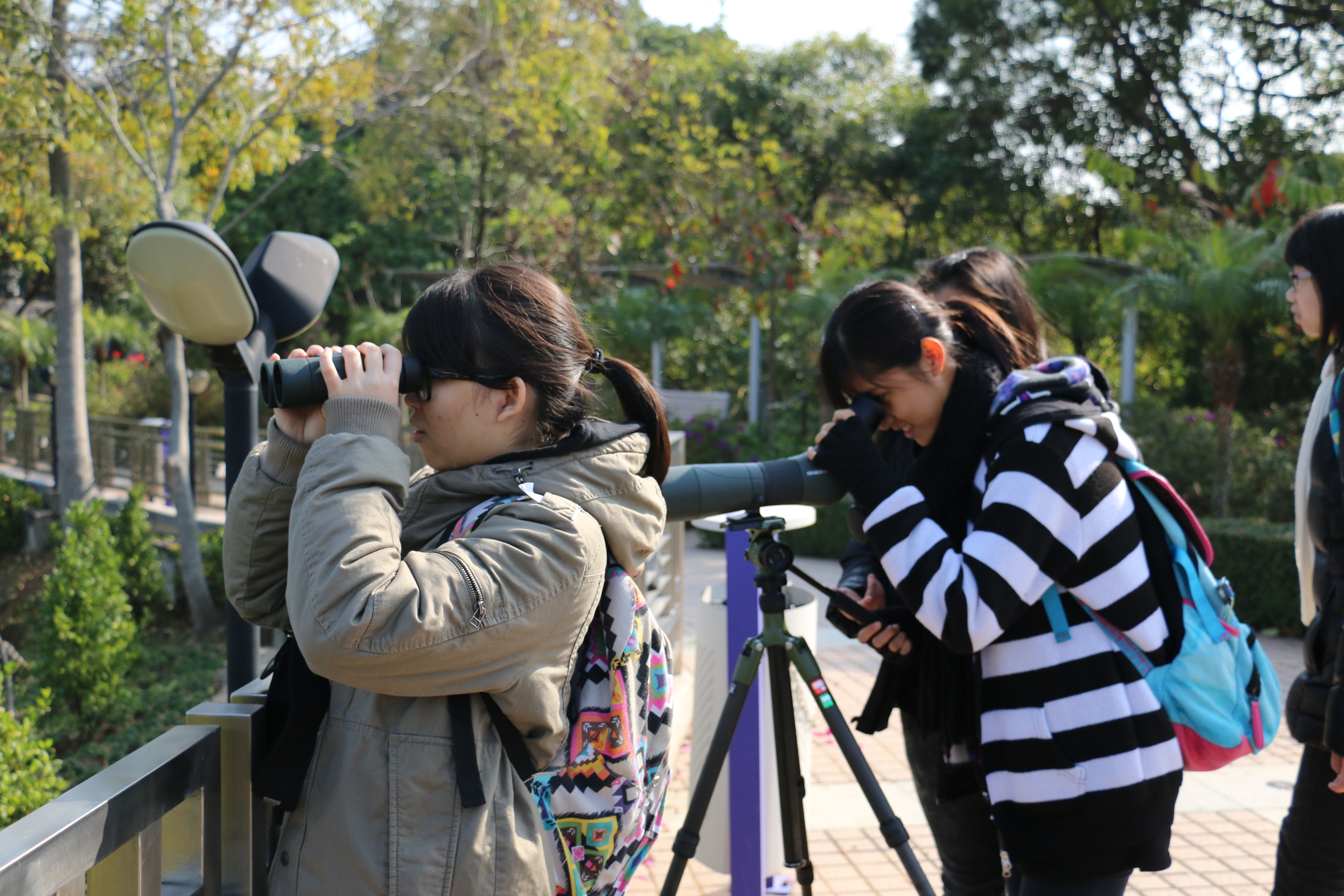 Participants learn to use a telescope to watch birds and their habitats