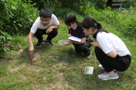 Students are using grid method to collect representative soil samples. 學生們正在使用網格法收集代表性的土壤樣本。