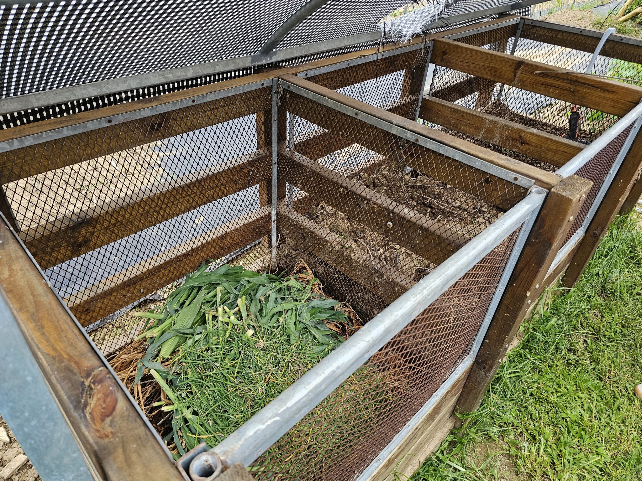 GRMG Students Explore Sustainable Farming at Tai Lung Experimental Farm ...