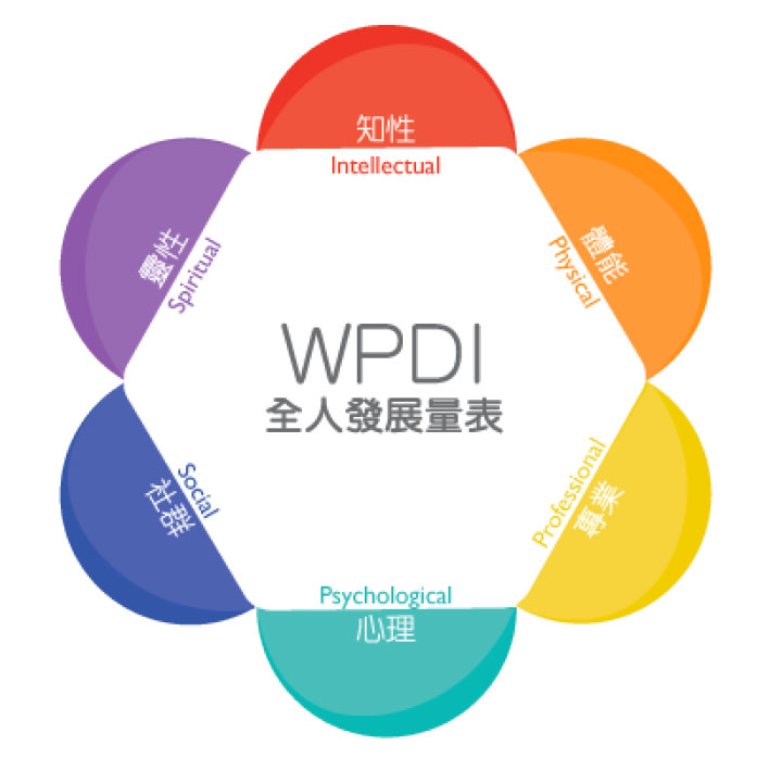 全人发展量表