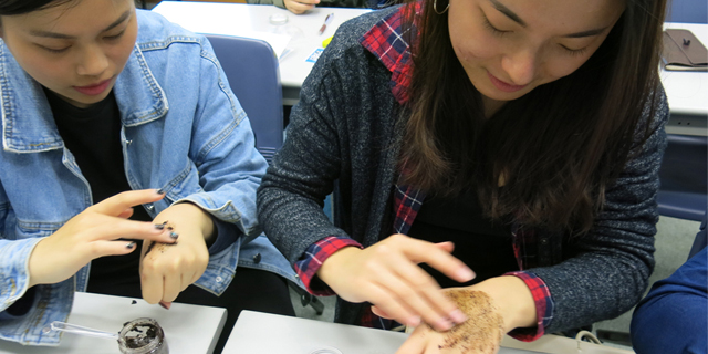 Fairtrade Coffee Grounds Workshop
