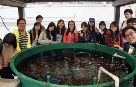 Learning about corals at The Swire Institute of Marine Science.