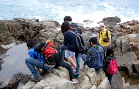 Exploring some of the rockpool communities in the Marine Reserve.
