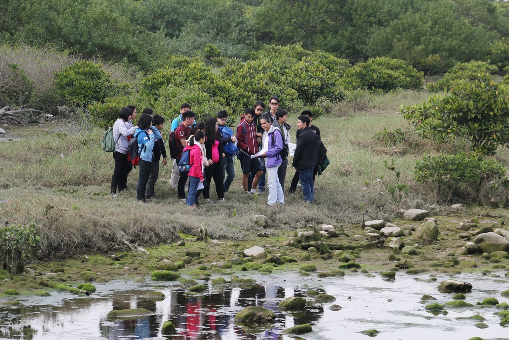 Dr. Luk-ki Cheng, Division Head of Scientific Research & Conservation of Green Power, was introducing the conservation importance of the river mouth of Tung Chung River.