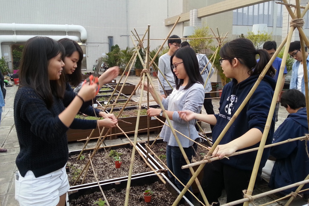 Organic farming requires students to acquire various skills, such as sowing, planting, nursery, pest control, irrigation, fertilising, and setting up scaffolds.
