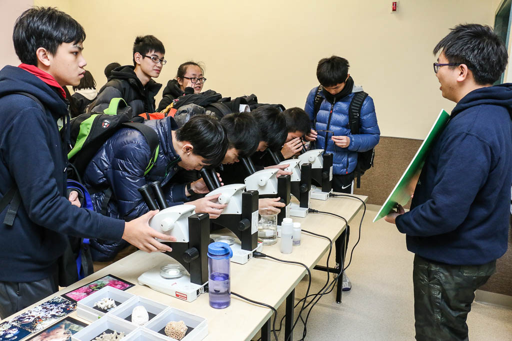 Participants were observing the planktonic organisms under the microscopes.