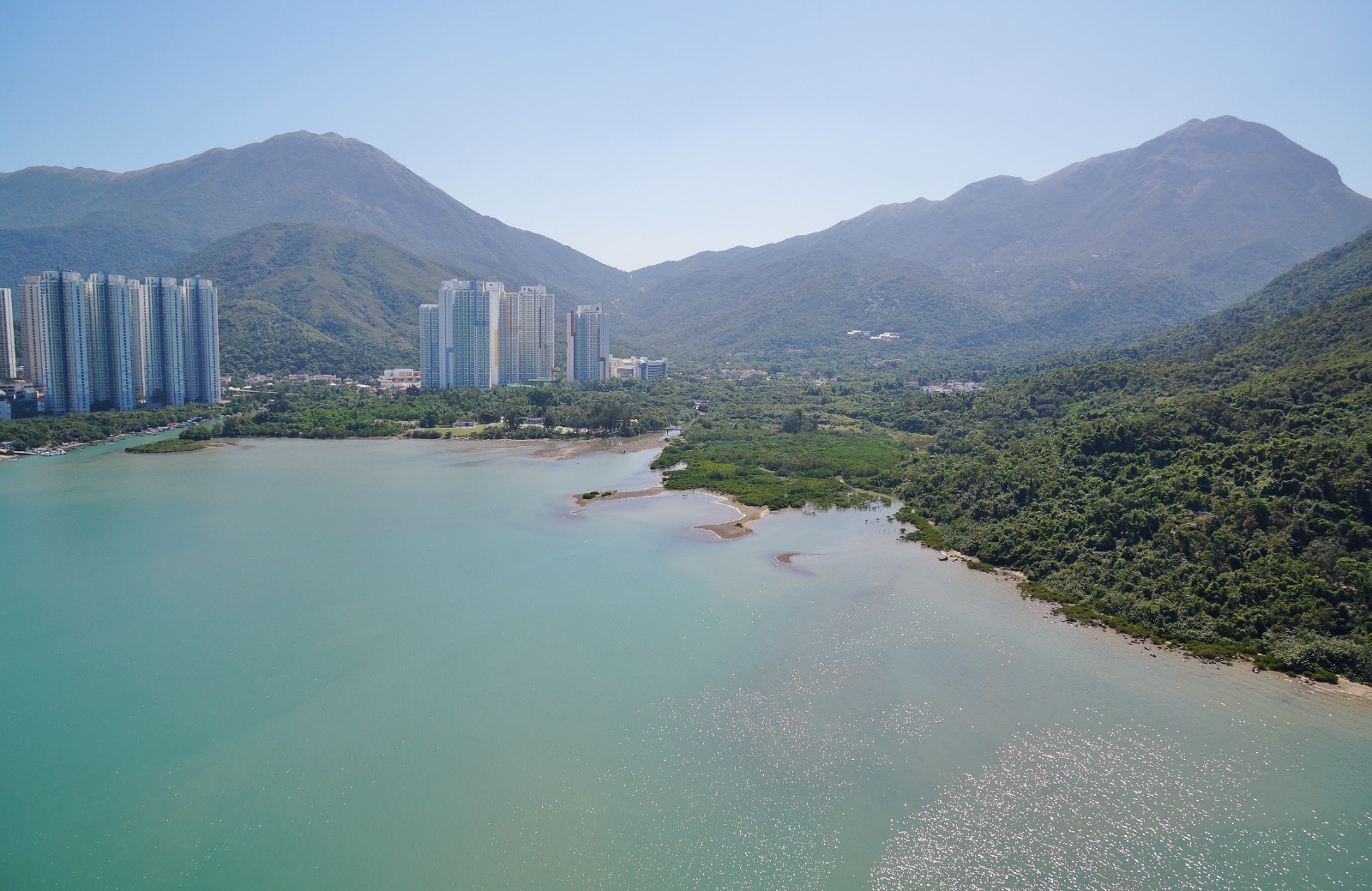 東涌河是香港少數由河源至河口仍保留着完整的天然地貌的河流，東涌灣仍保存天然狀況尤其難得。(綠色力量提供相片)