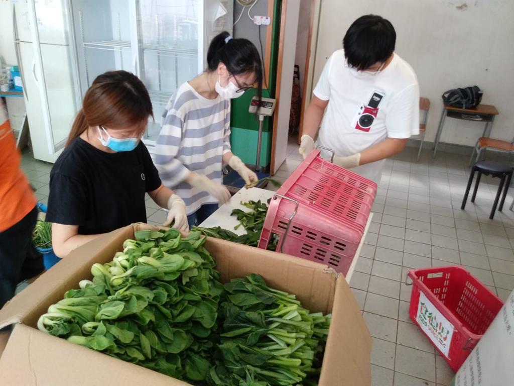 實習同學幫助回收及揀選剩菜，再轉贈給有需要的人士，如老人院、低收入人士及長者。