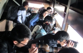 在湿地栖息地上的观鸟屋内远眺候鸟。