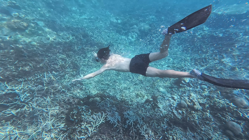 Students experienced free diving during a snorkelling activity at a coral reef at Nusa Lembongan.