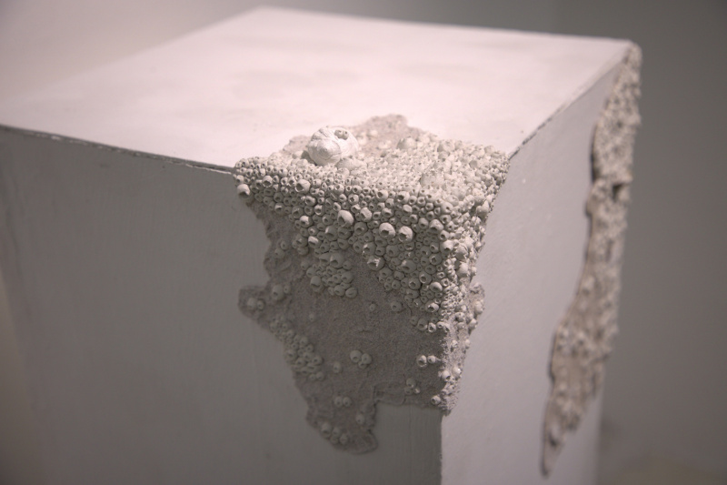 蔣念上同學的作品《與侵蝕共存》獲得由藝術院頒發給畢業同學的「金船獎（立體創作）」和「Artist Choice」兩個獎項，深受評審欣賞。作品呈現出一種密集的視覺效果，試圖傳達侵蝕是世界、城市、生活中不可避免的現象。