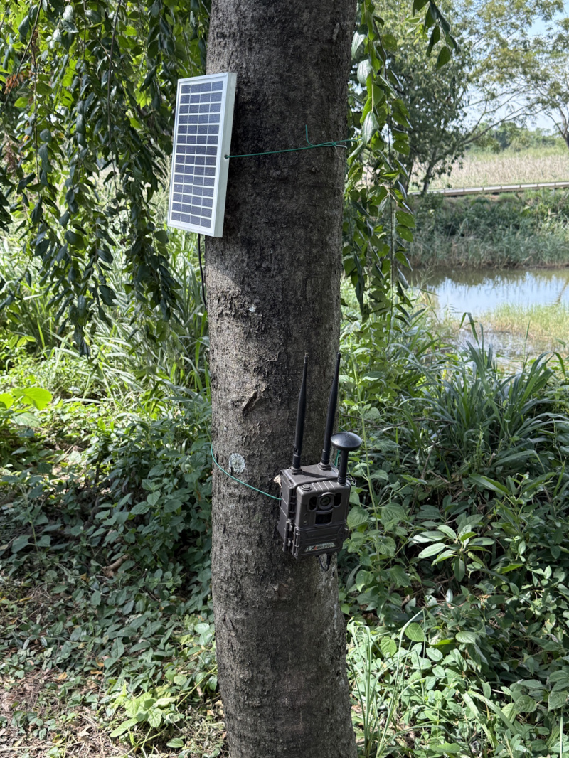 WWF採用紅外線相機監測保護區內動物。