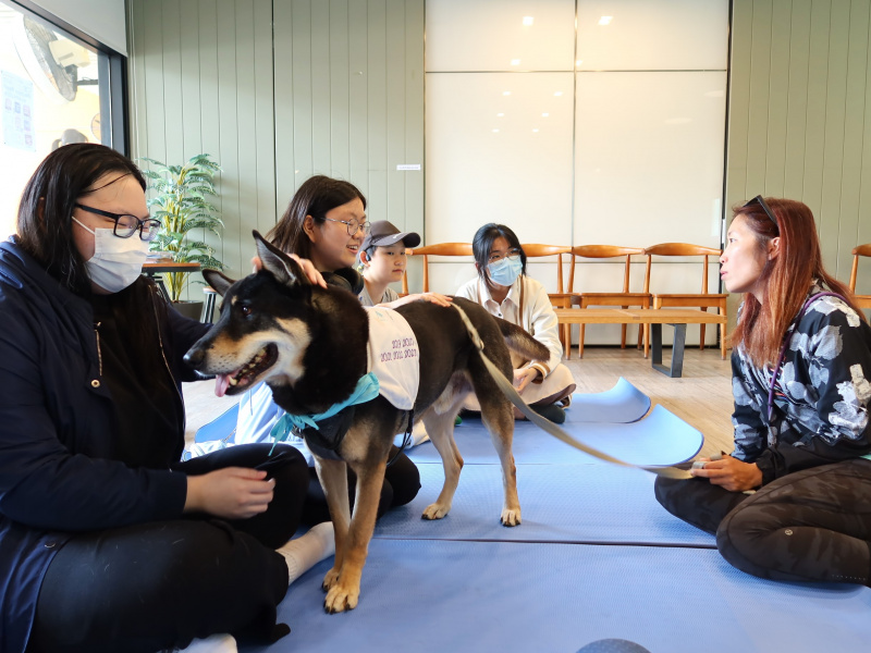 同學們與治療犬共度了一個愉快的中午。