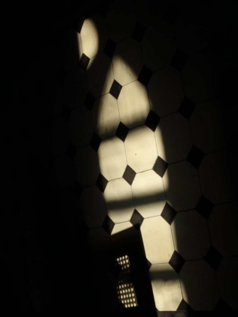 The winning photograph by Lucia Ho Chi Kei. It will feature on the cover of the student journal of culture and literature, This and That, vol 12. 