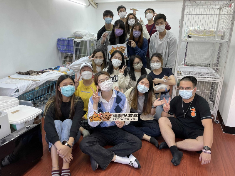 同学耐心地利用零食和玩具与猫儿建立关系，他们很高兴终于赢得猫儿的信任。