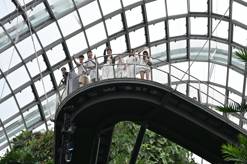 The Cloud Forest